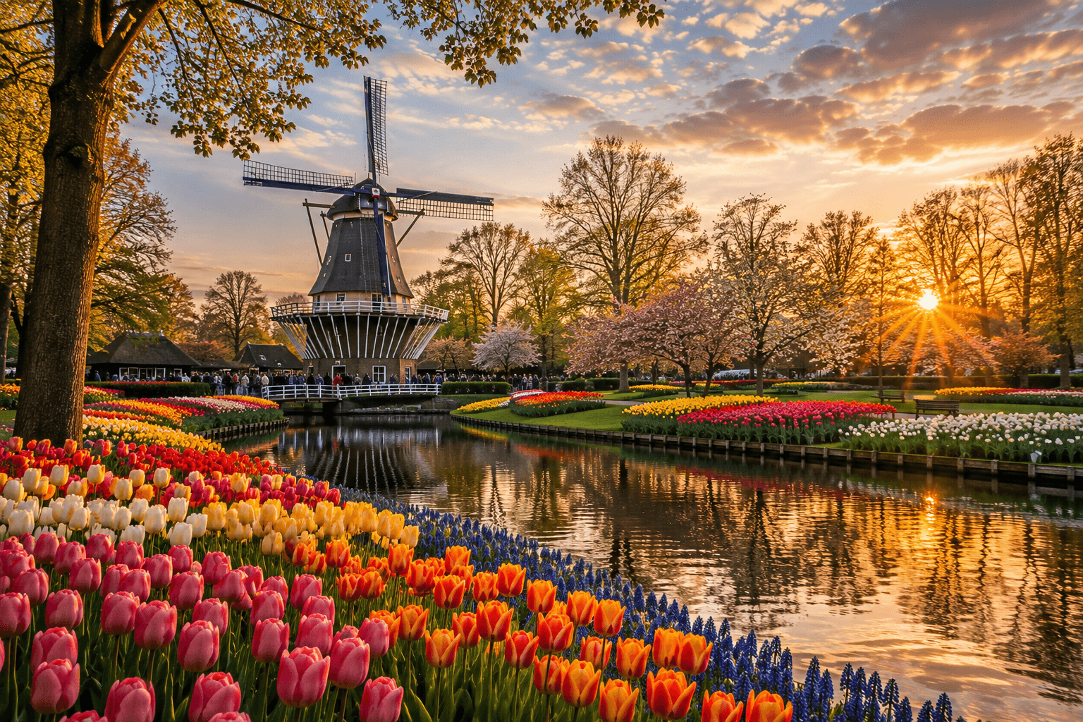 Keukenhof Netherlands colorful tulip